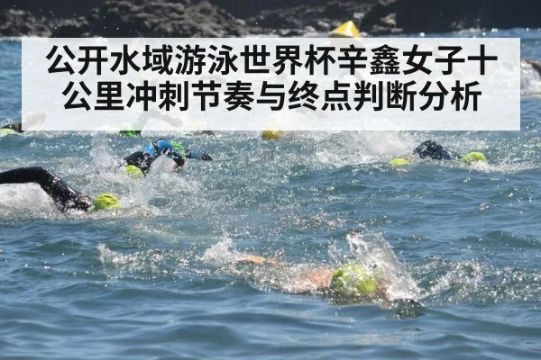 公开水域游泳世界杯辛鑫女子十公里冲刺节奏与终点判断分析